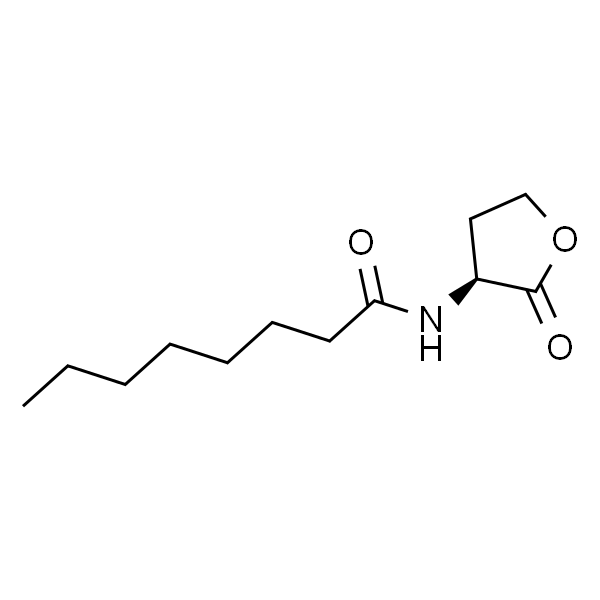 辛酰基 -L-高丝氨酸内酯