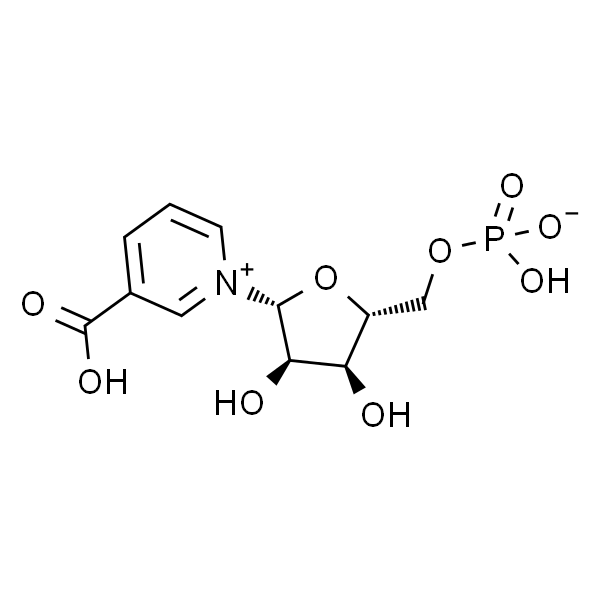 烟酸单核苷酸