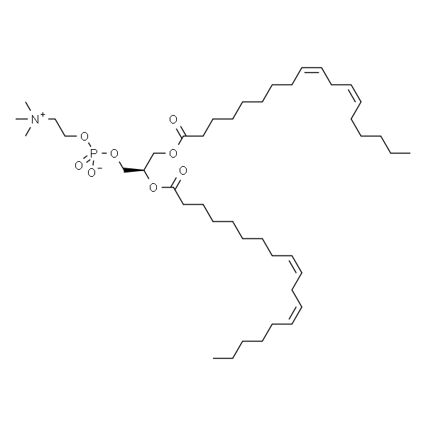 1,2-二亚油酰基-3-SN-磷脂酰胆碱