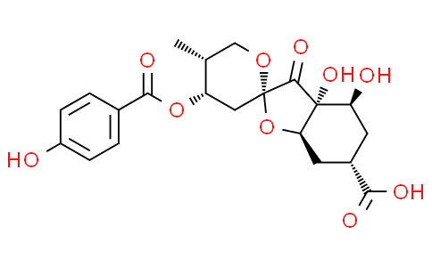 Glochicoccin D