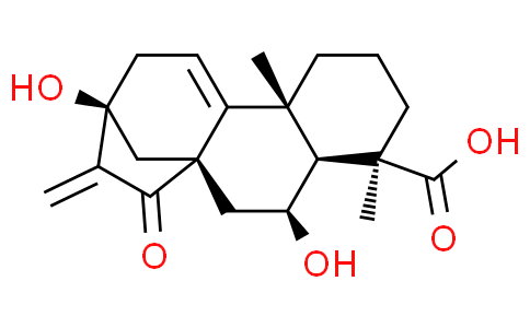 Pterisolic acid A