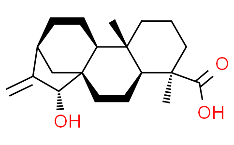 Deacetylxylopic acid