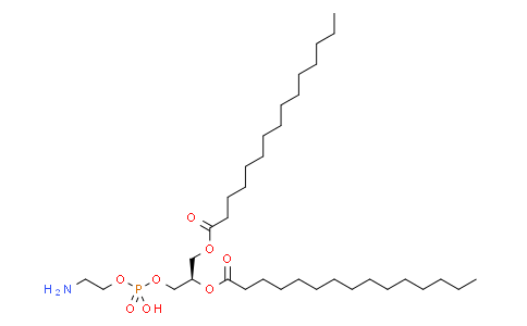 1,2-dipentadecanoyl-sn-glycero-3-phosphoethanolamine