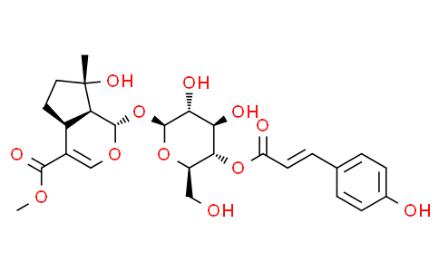 4'-O-trans-p-Coumaroylmussaenosi