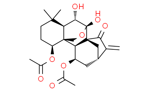 Shikokianin