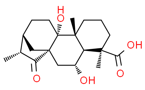 Pterisolic acid D