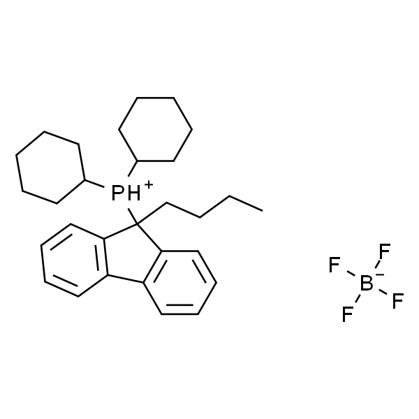 (9-丁基-9-芴基)二环己基磷四氟硼酸酯