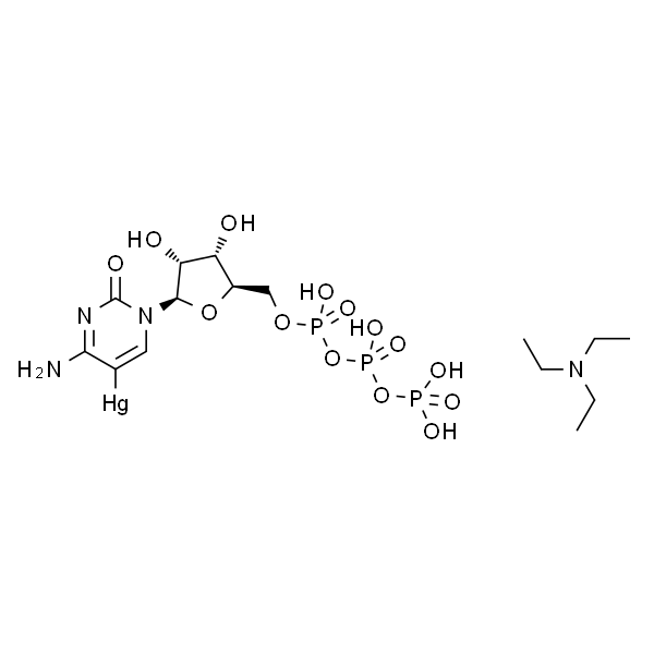 5-MERCURICYTIDINE 5'-TRIPHOSPHATE*CARBON ATE TRIETHY