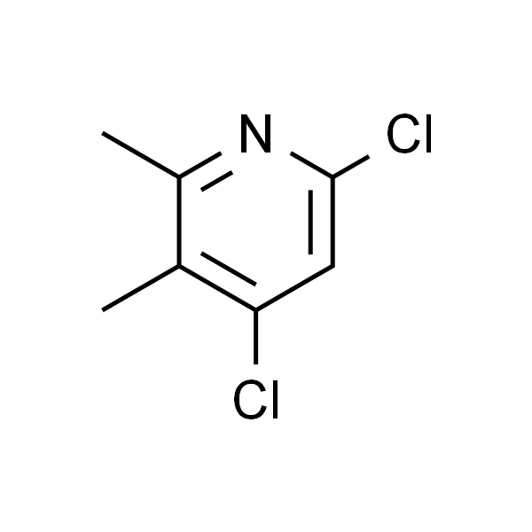 4,6-二氯-2,3-二甲基吡啶