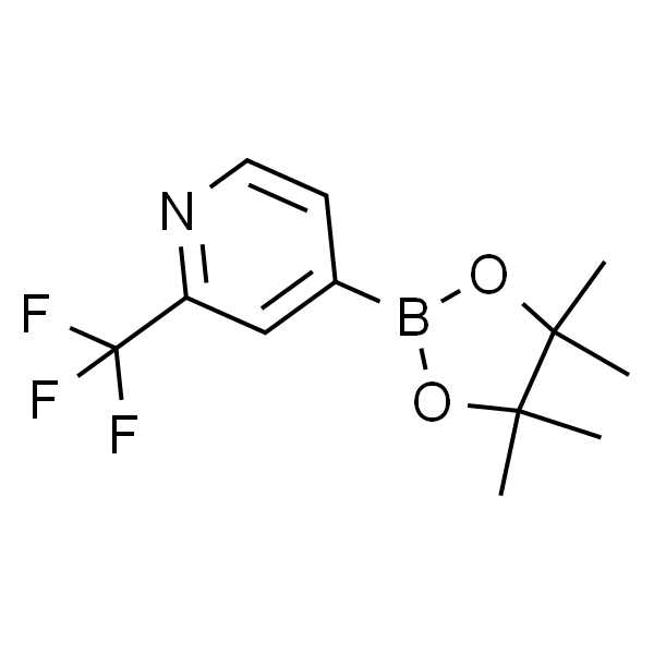 2-三氟甲基吡啶-4-硼酸频哪醇酯