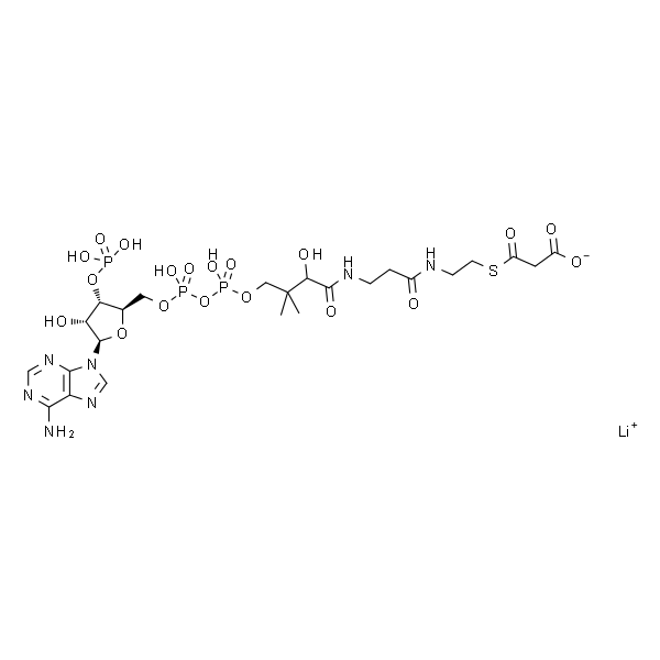 丙二酰辅酶 A 锂盐