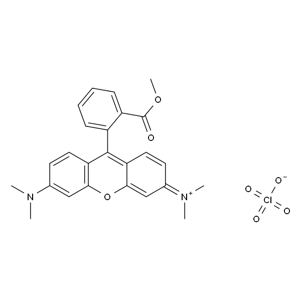 四甲基罗丹明甲酯高氯酸盐