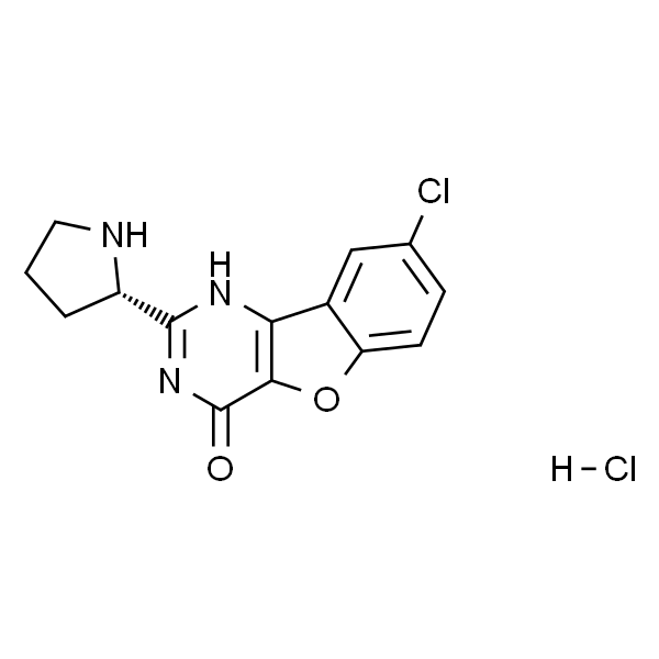 XL413 hydrochloride