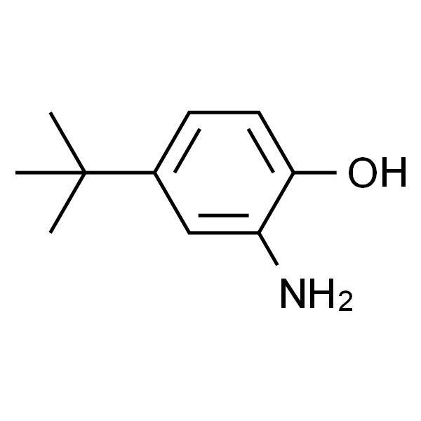 2-氨基-4-叔丁基苯酚