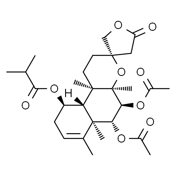 Scutebata E