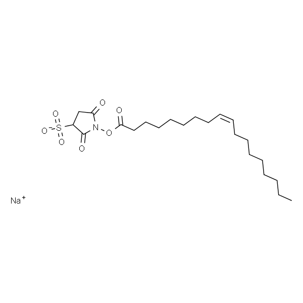 Sulfosuccinimidyl Elaidate Sodium