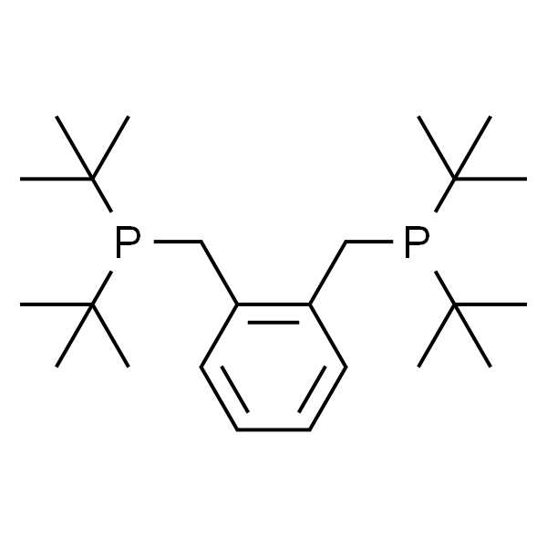 1,2-双(二叔丁基膦甲基)苯