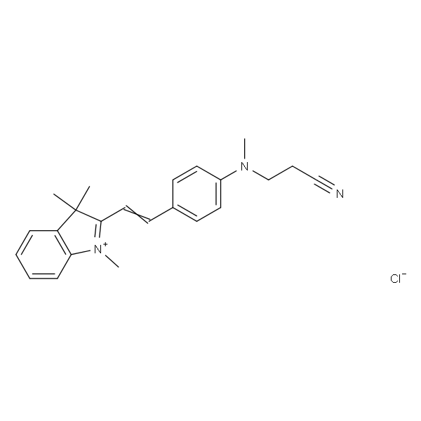 阳离子艳红4G