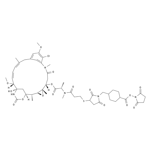 DM1-SMCC