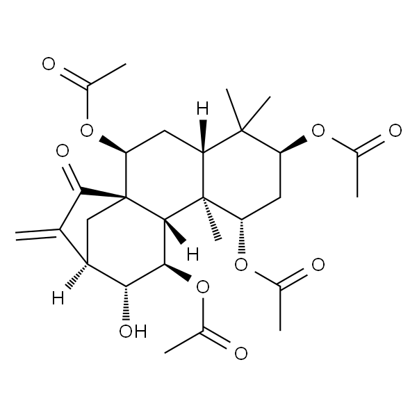 苍山香茶菜素