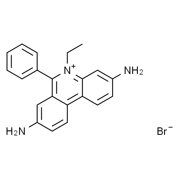 溴化乙锭 (0.5mg/mL于水中) (于滴瓶中)[电泳用]