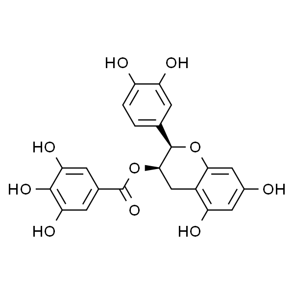 表儿茶素没食子酸酯