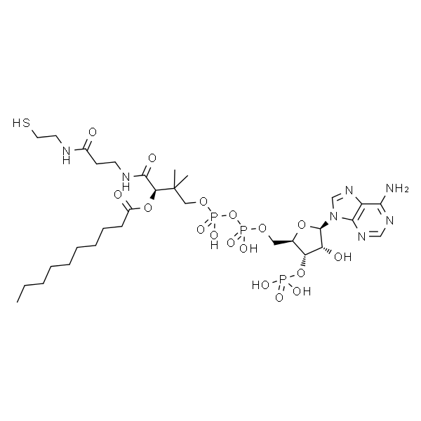 Decanoyl coenzyme A monohydrate 