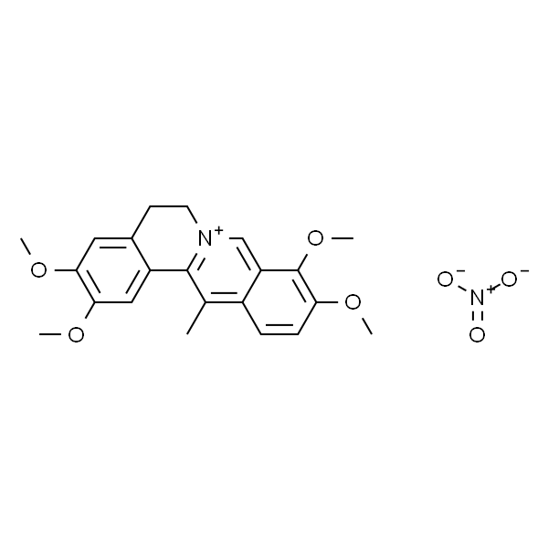 去氢延胡索甲素硝酸盐