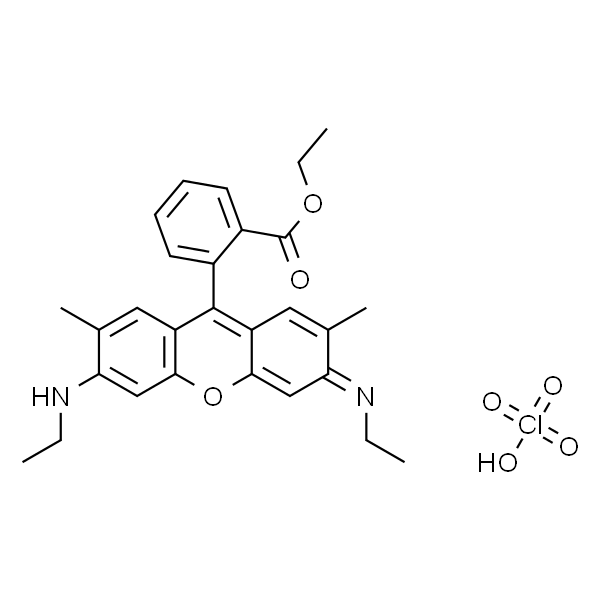 罗丹明 6G高氯酸盐