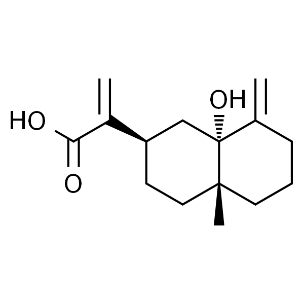 5α-Hydroxycostic acid