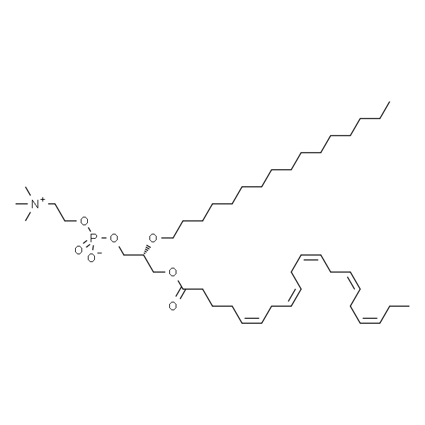 1-O-hexadecyl-2-(5Z,8Z,11Z,14Z,17Z-eicosapentaenoyl)-sn-glycero-3-phosphocholine