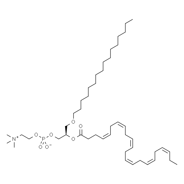 1-O-hexadecyl-2-docosahexaenoyl-sn-glycero-3-phosphocholine