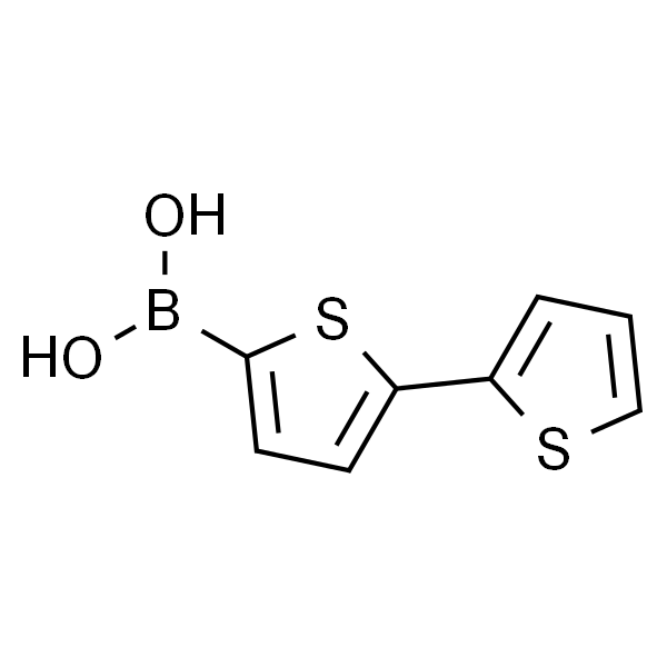 2,2'-双噻吩-5-硼酸