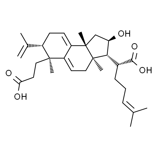 茯苓酸B