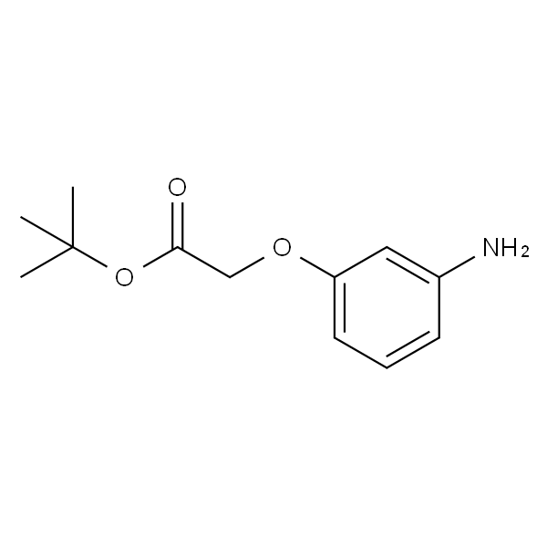 2-(3-氨基苯氧基)乙酸叔丁酯