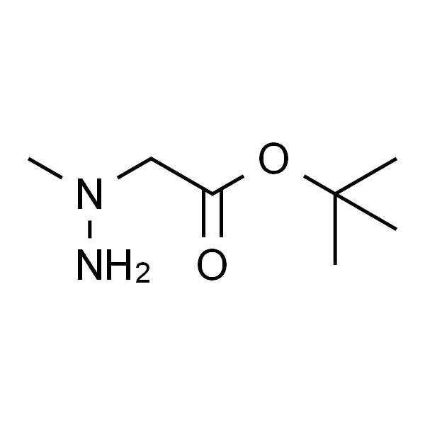 2-(1-甲基肼基)乙酸叔丁酯