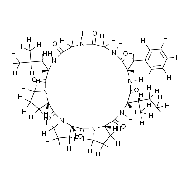 太子参环肽B