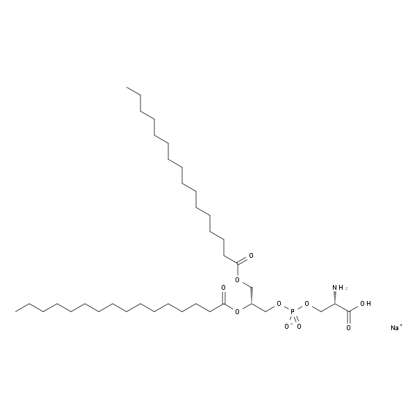 1，2-二棕榈酰-sn-甘油-3-磷酸-L-丝氨酸，钠盐
