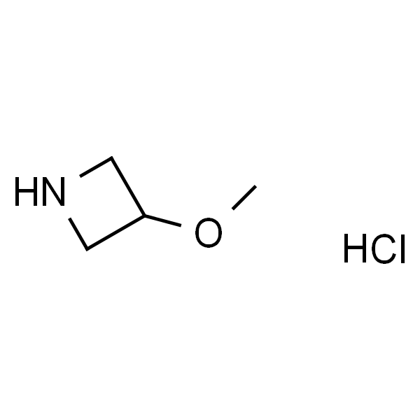 3-甲氧基氮杂环丁烷 盐酸盐