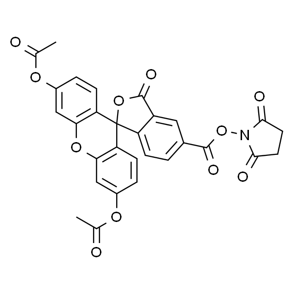 5(6)-羧基二乙酸荧光素琥珀酰亚胺酯（CFDA）