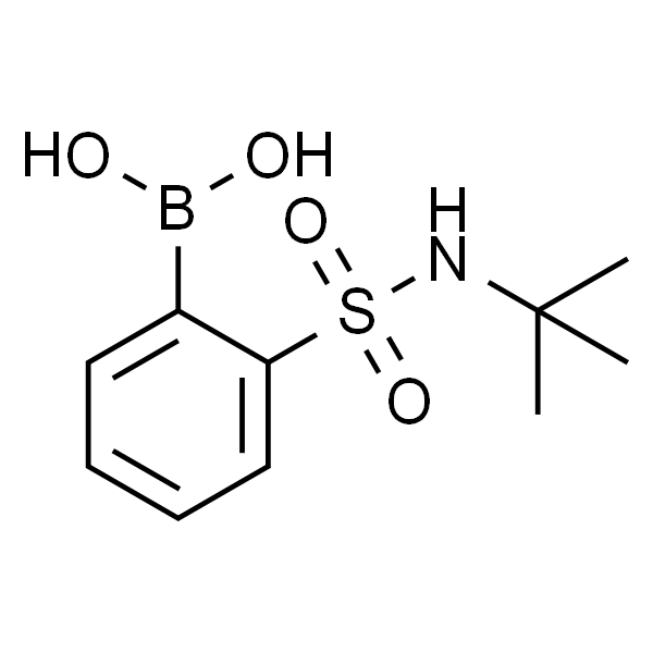 2-(叔丁基氨基)磺酰基苯硼酸