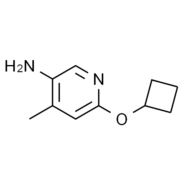 6-环丁氧基-4-甲基吡啶-3-胺