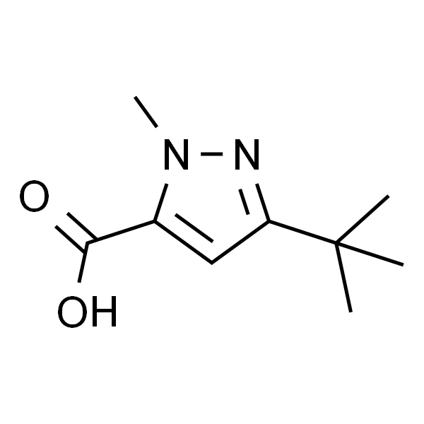 1-甲基-3-叔丁基吡唑-5-甲酸