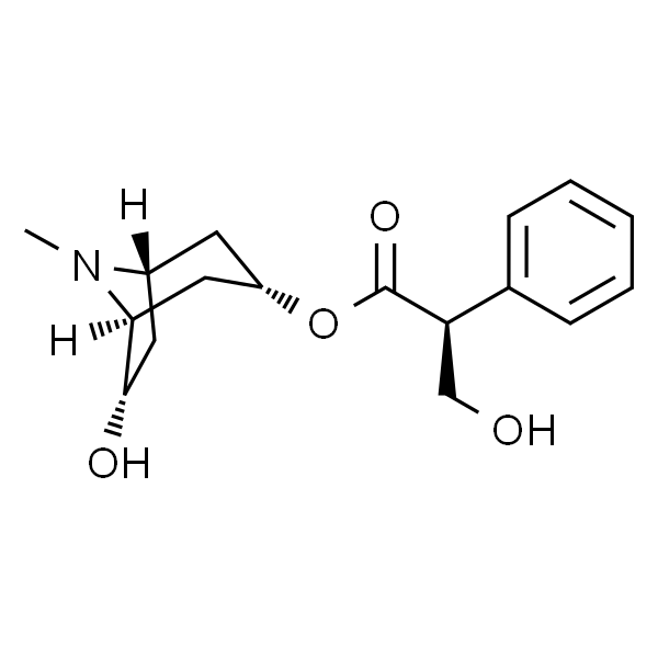 消旋山莨菪碱