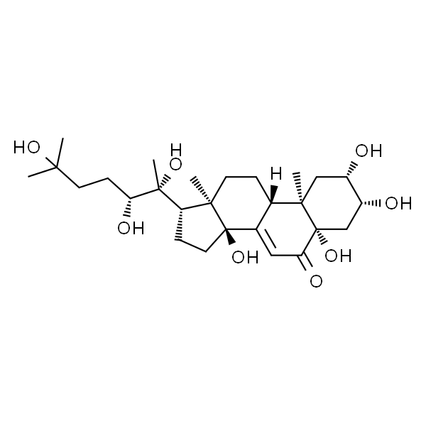 水龙骨甾酮B