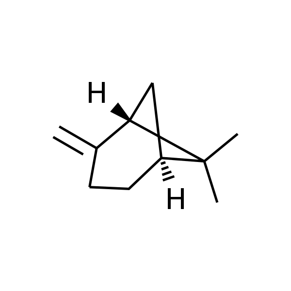 β-蒎烯