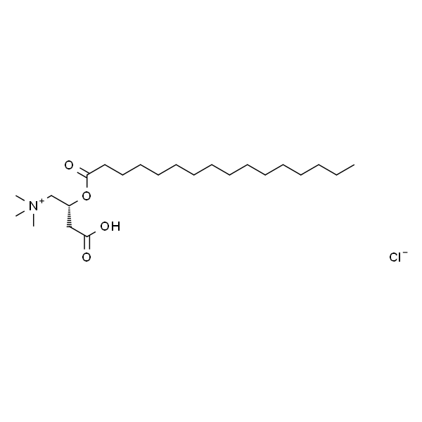 棕榈酰-L-肉碱盐酸盐