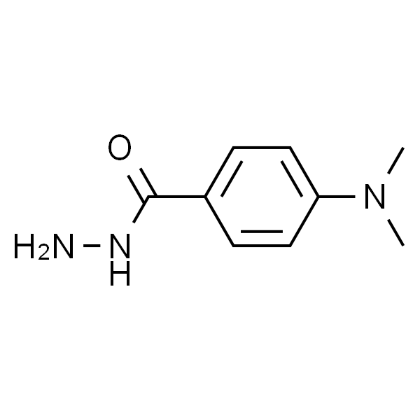 4-二甲氨基苯甲酰肼