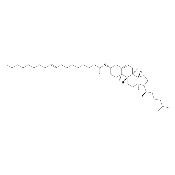 Cholesteryl Elaidate