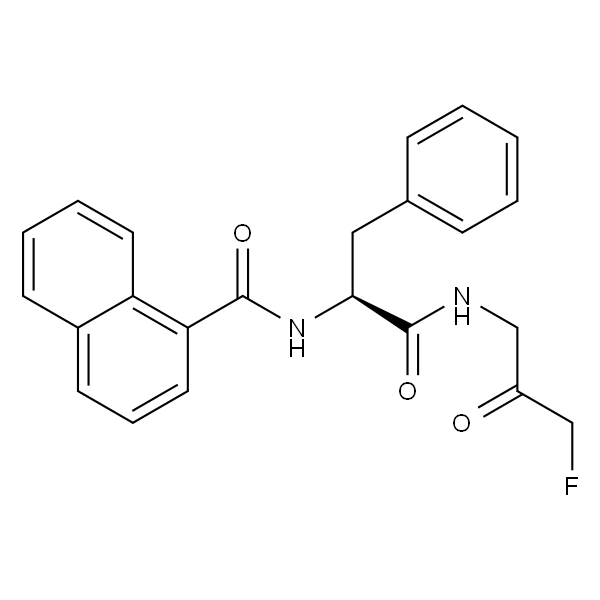 FMK 9a